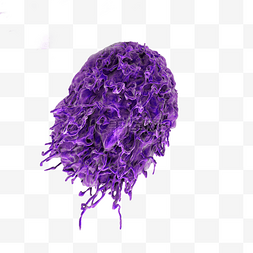 紫色病毒细菌