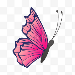 矢量简单卡通手绘蝴蝶图案