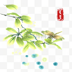 夏至绿叶蜻蜓水墨画