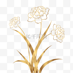 金粉烫金花卉植物插画