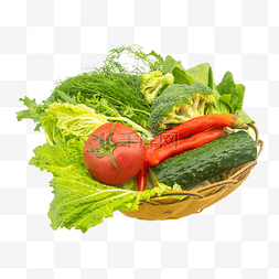 采蔬菜图片_新鲜营养蔬菜组合