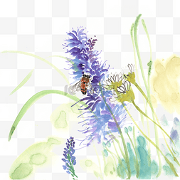 勤劳节俭图片_紫色花与蜜蜂水墨画