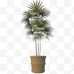 竹篮盆栽