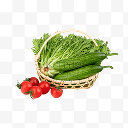 一篮子蔬菜青菜