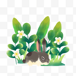 绿草中的小兔子