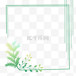 热带植物插画图片_热带植物几何方框