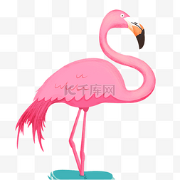 粉色鸟图片_站在水中粉色卡通鹤