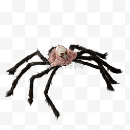 骷颅头插画图片_黑色的蜘蛛和骷颅头免抠图