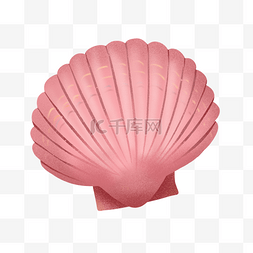 海底卡通生物图片_一个粉色贝壳