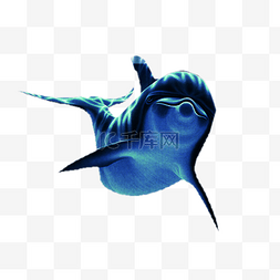 蓝色海底世界图片_海豚海底世界