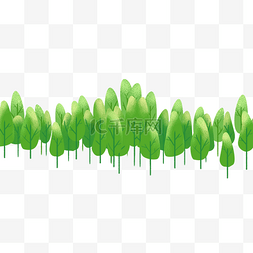 绿色植物树林
