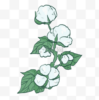棉花手绘装饰水彩风