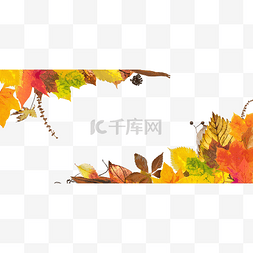 秋天景色落叶枫叶装饰边框