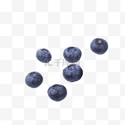水果图片_梅子水果好吃蓝莓