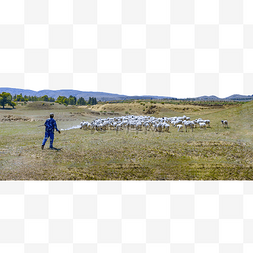 过度放牧图片_内蒙古山村羊群放牧