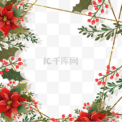 Christmas图片_christmas poinsettia圣诞花金线边框