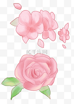 清新唯美粉色玫瑰花与桃花