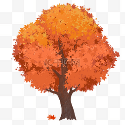 秋季的树图片_立秋美丽的秋季枫叶树插画