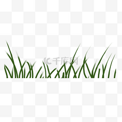 清新绿色草地草坪图片_绿色草地草坪自然