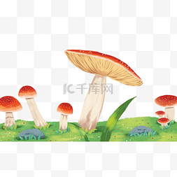 春季植物草地蘑菇