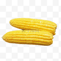 粮食农产品图片_农产品两穗黄玉米