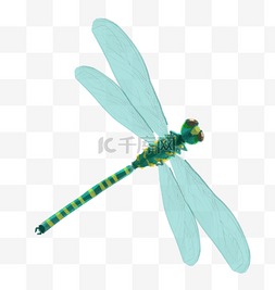 蜻蜓绿幕素材图片_一只蜻蜓