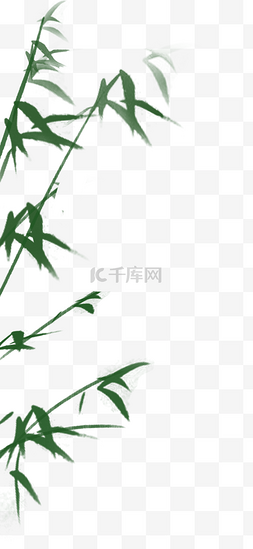 竹子图片_绿色竹子竹叶植物