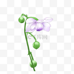 卡通紫色花朵图片_创意紫色花朵插画