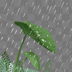 雨水节气下雨图片_雨水节气下雨绿植