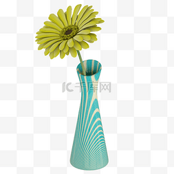 桌面植物非洲菊