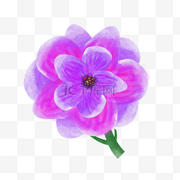 花朵装饰插画图片_紫色的花朵装饰插画