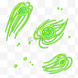 绿色胡须细菌插画
