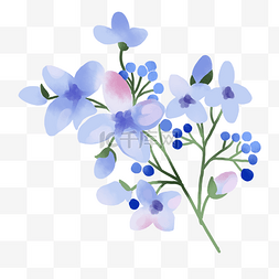 蓝色花卉图片_蓝色花卉