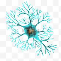 神经元结构图片_蓝色细胞膜神经元