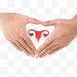 保护肝脏图片_保护内脏子宫