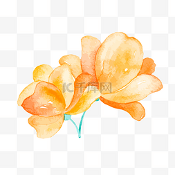 花和花骨朵图片_水彩风手绘黄色花朵矢量图