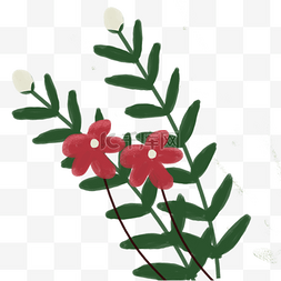 红色的美丽花朵插画