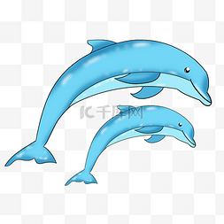 海洋海豚卡通动物