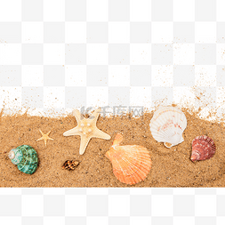 海星海螺贝壳图片_海滩贝壳海星夏天