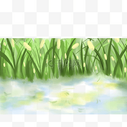 水里有一片绿色的芦苇