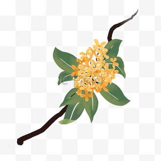 手绘桂花树企业vip免费下载免抠元素水墨桂花手绘插画个人vip和企业