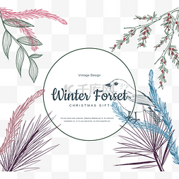 手绘松针图片_手绘冬季森林圣诞节传统植物插图