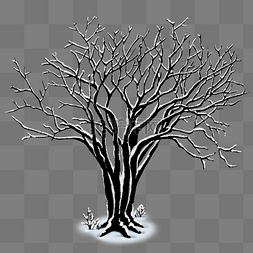 冬天枯干树木