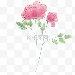 淡粉色粉色图片_粉色花朵和叶子