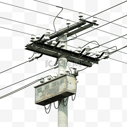 站在电线杆上的鸟图片_电线电线杆线路电力供电