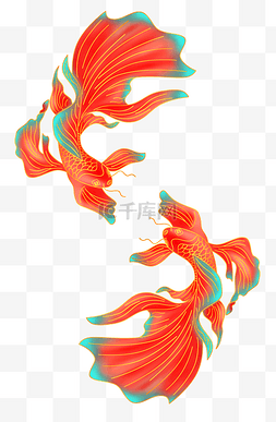 鸡红鲤鱼图片_鲤鱼锦鲤中国风