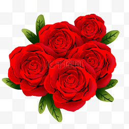 红玫瑰花结图片_情人节红玫瑰
