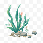 海底植物海藻元素插画