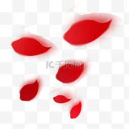 漂浮的花瓣图片_大的红色花瓣漂浮