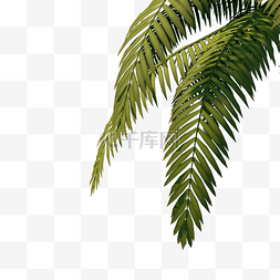 椰子树矢量素材